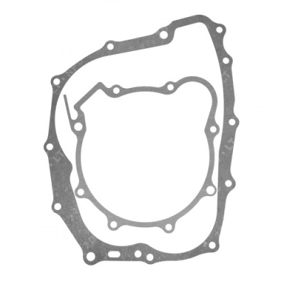 Прокладки двигателя ком-т ZS169FMM Sport001-006
